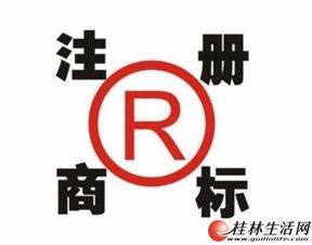 桂林企業(yè)一站式服務(wù) 公司注冊、代理記賬與食品流通許可證全攻略